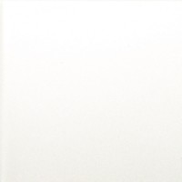 Wandfliese JNC 2020 weiß 19,8 x 19,8 cm