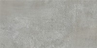 Bodenfliese Ascot Prowalk grey lappato 29,6 x 59,5 cm