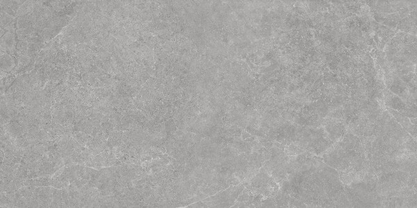 Bodenfliese Argenta Storm grey 60 x 120 cm