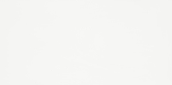 Wandfliese Meissen PS800 Bianca weiß matt 29,8 x 59,8 cm