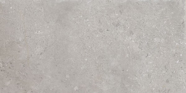 Bodenfliese Ascot Saint Remy grigio nat 29,6 x 59,5 cm