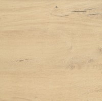 Bodenfliese Wood beige 60 x 60 cm